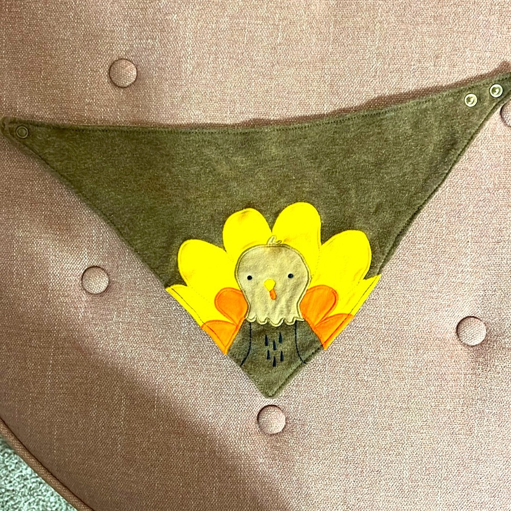 Carters thanksgiving bib